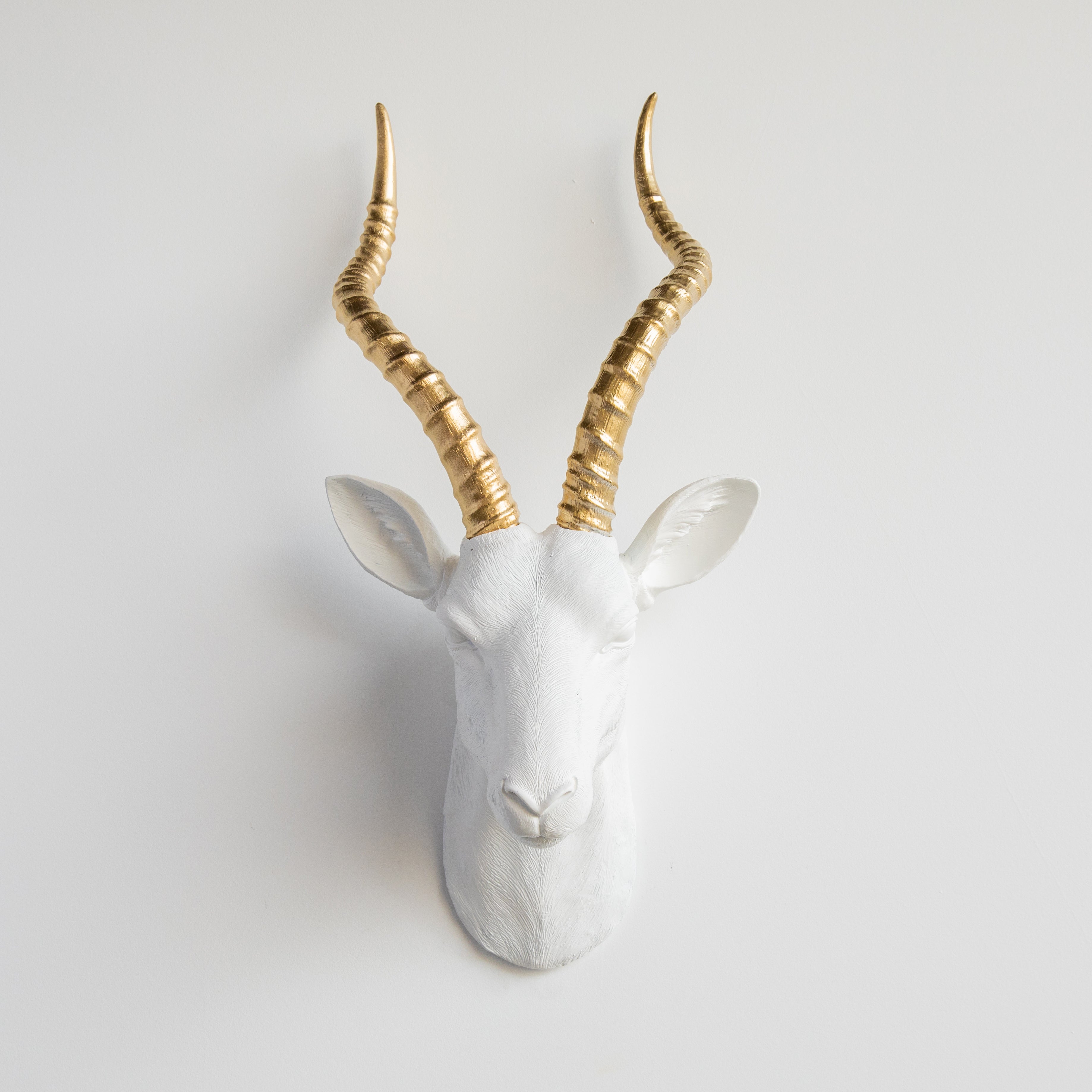 Stunning Wall Decor for the Modern Home!