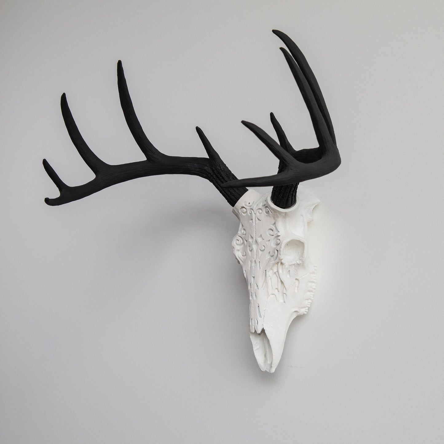 Faux Carved Deer Skull // White and Black