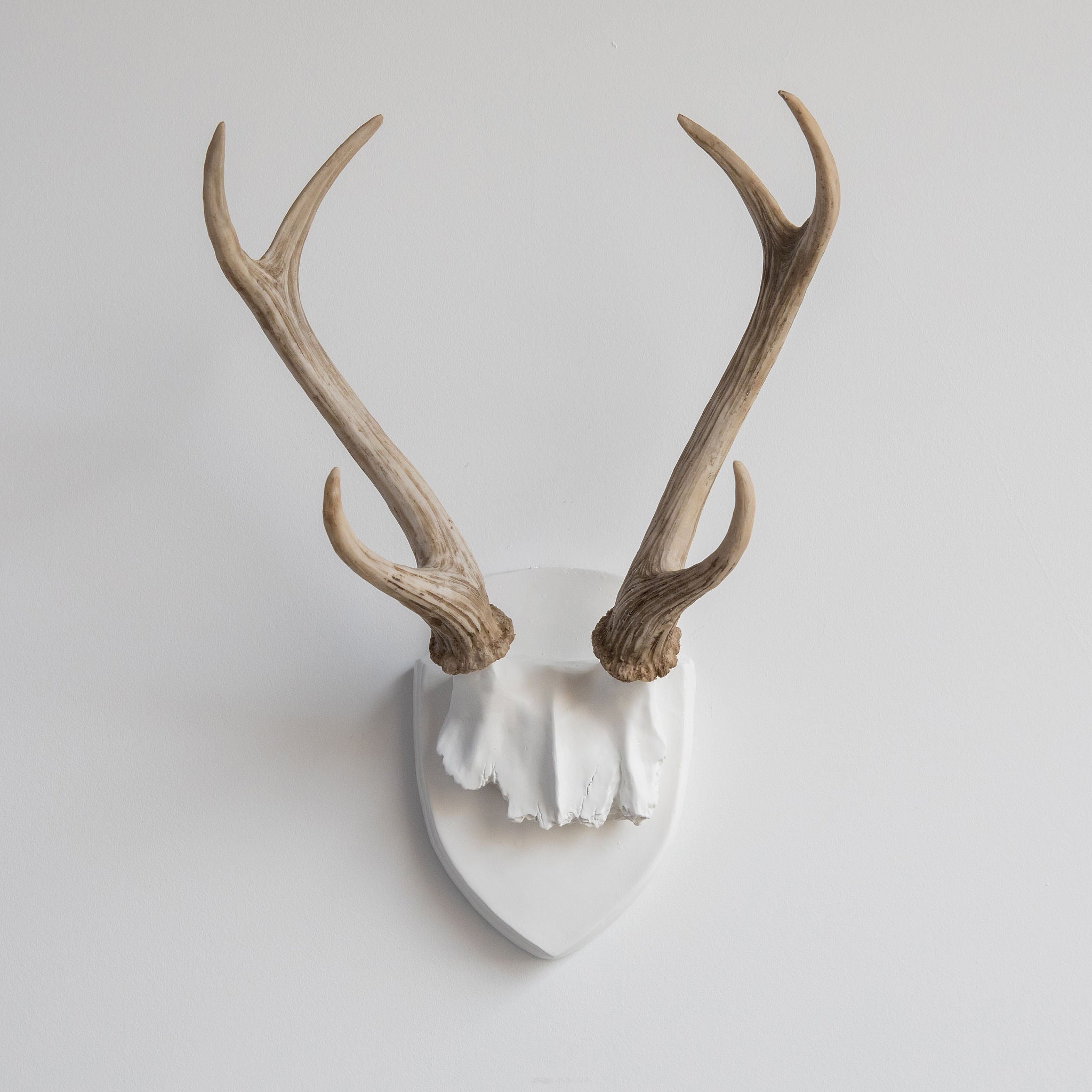 Faux Antler Decor: An Elegant Touch for Your Home