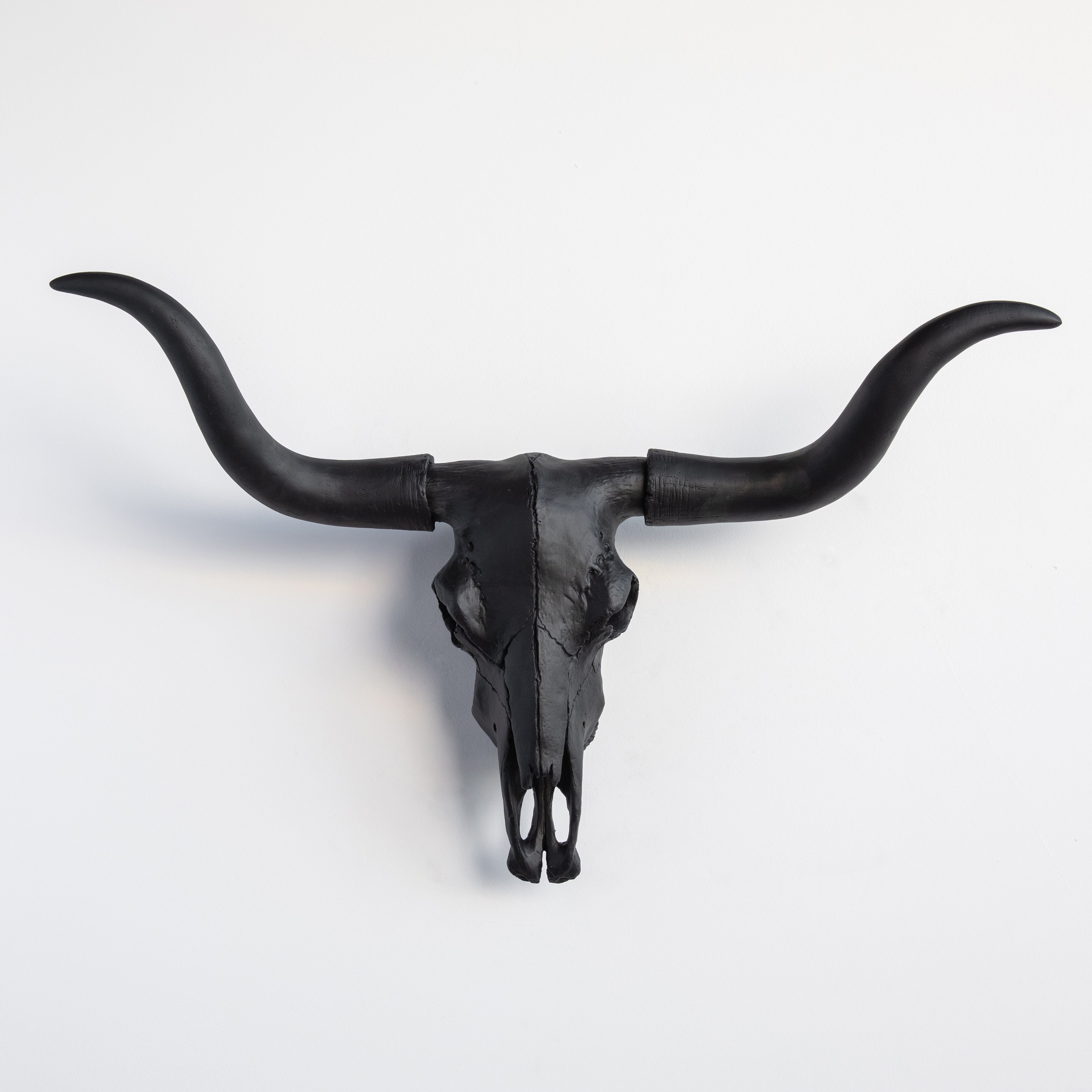 Texas Longhorn Skull Wall Decor: A Stylish Addition to Your Home