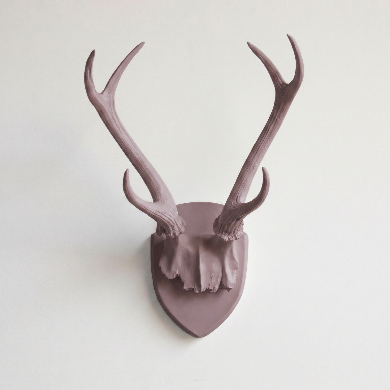 Skulls