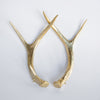 Small Faux Antler Set