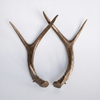 Small Faux Antler Set