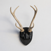 Faux Hunter's Trophy