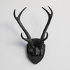 Faux Hunter's Trophy