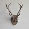 Faux Hunter's Trophy