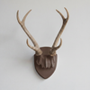 Faux Hunter's Trophy