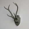 Faux Hunter's Trophy