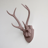 Faux Hunter's Trophy