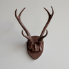 Faux Hunter's Trophy