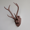 Faux Hunter's Trophy
