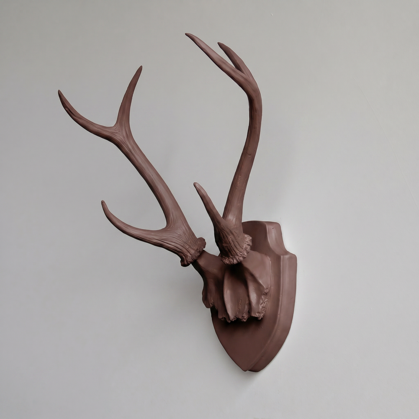 Faux Hunter's Trophy