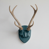 Faux Hunter's Trophy