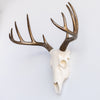 Faux Mini Deer Skull