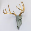 Faux Mini Deer Skull