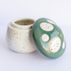 Mini Ceramic Mushroom Jar