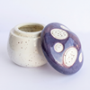 Mini Ceramic Mushroom Jar