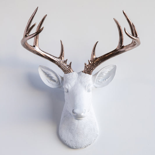 Faux Stag Deer Head Wall Mount // White and Champagne