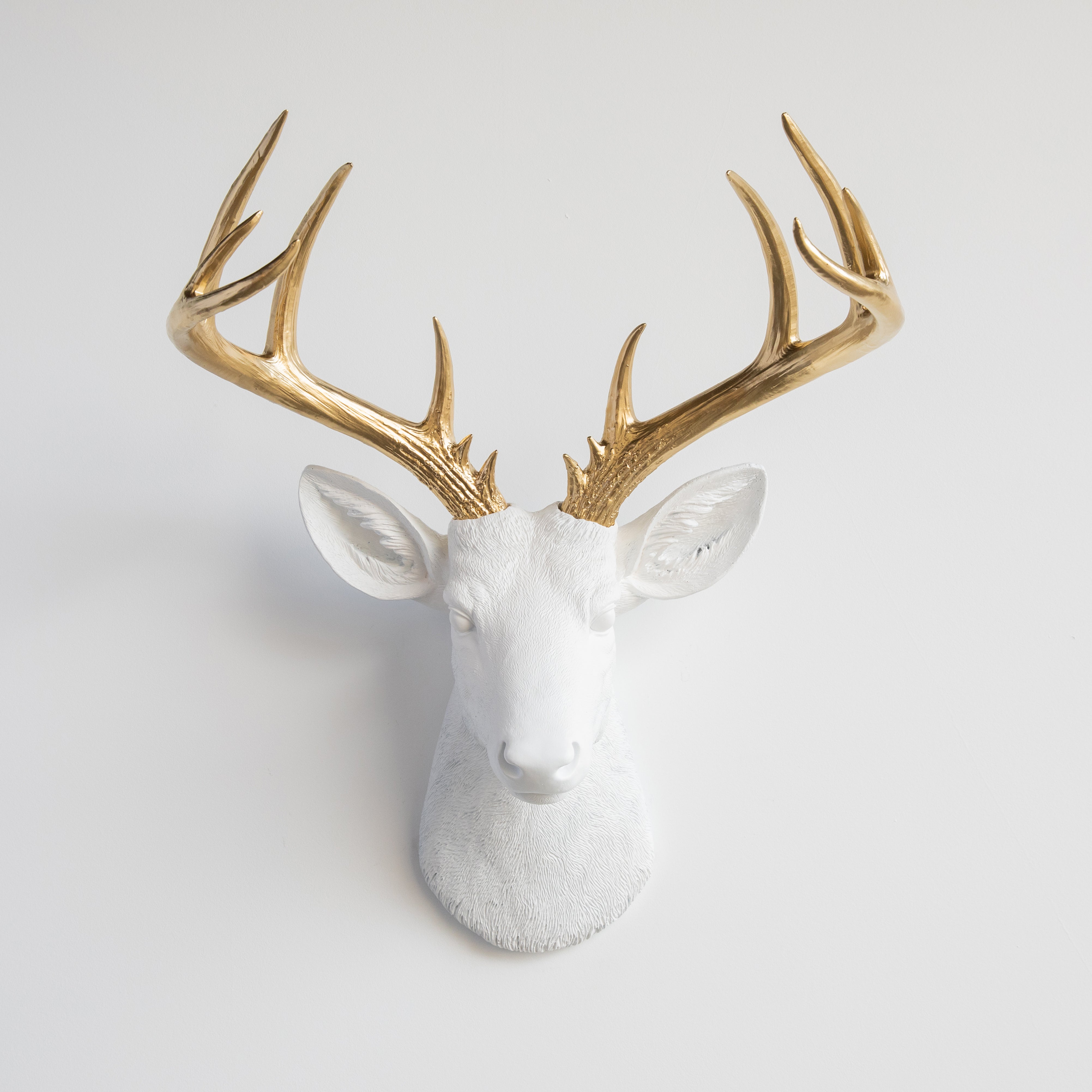 Faux Taxidermy Deer Skull - Wall outlets Decor - White - BS0101