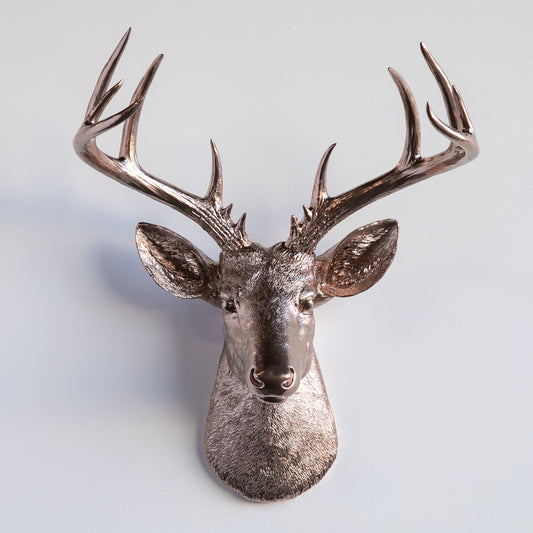 Faux Stag Deer Head Wall Mount // Champagne