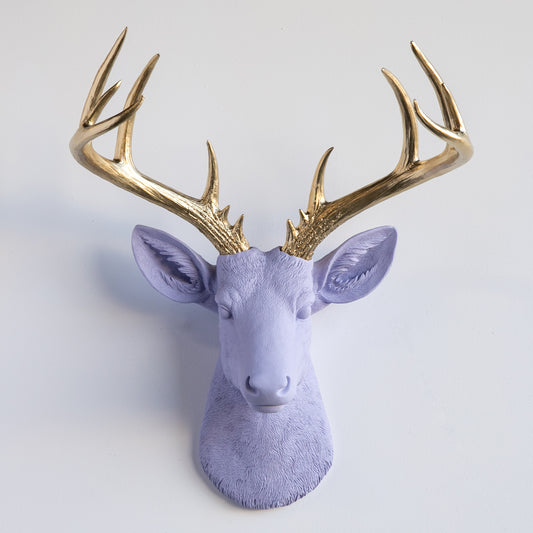 Faux Stag Deer Head Wall Mount // Lavender and Gold