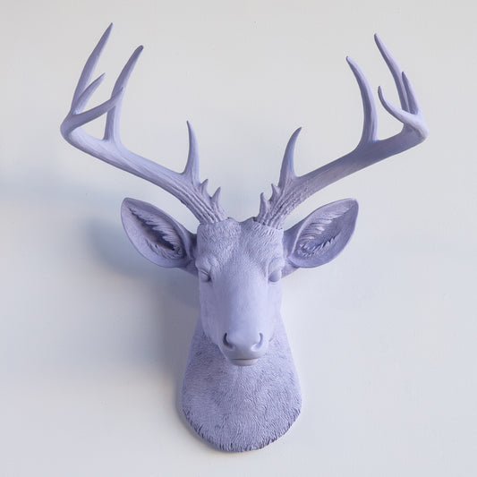 Faux Stag Deer Head Wall Mount // Lavender