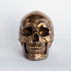 Faux Human Skull