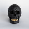 Faux Human Skull