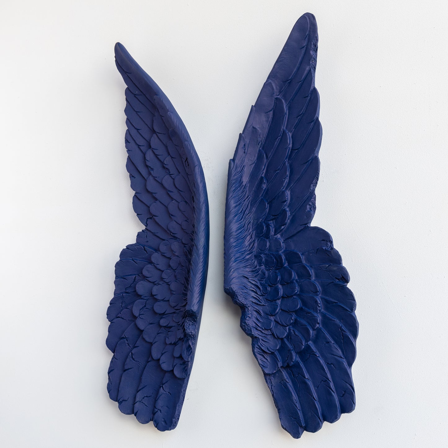 XL Angel Wings