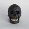 Faux Human Skull