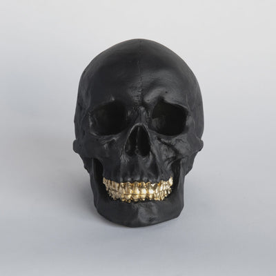 Faux Human Skull