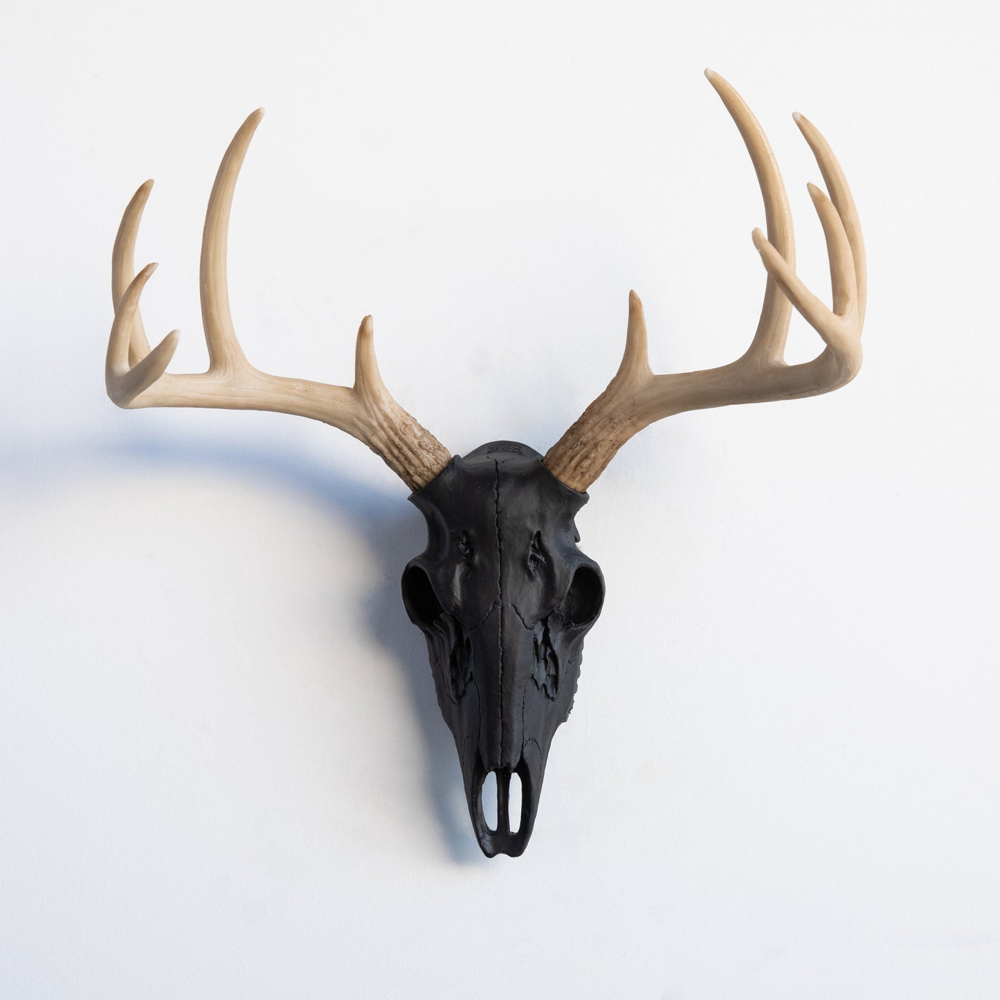 Faux Small Deer Skull // Black with Natural Antlers
