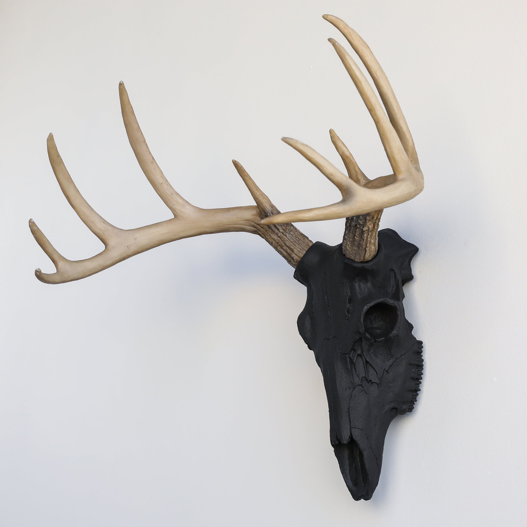 Faux Deer Skull // Black with Natural Antlers