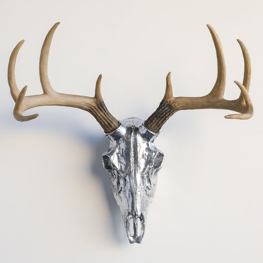 Faux Deer Skull // Chrome with Natural Antlers