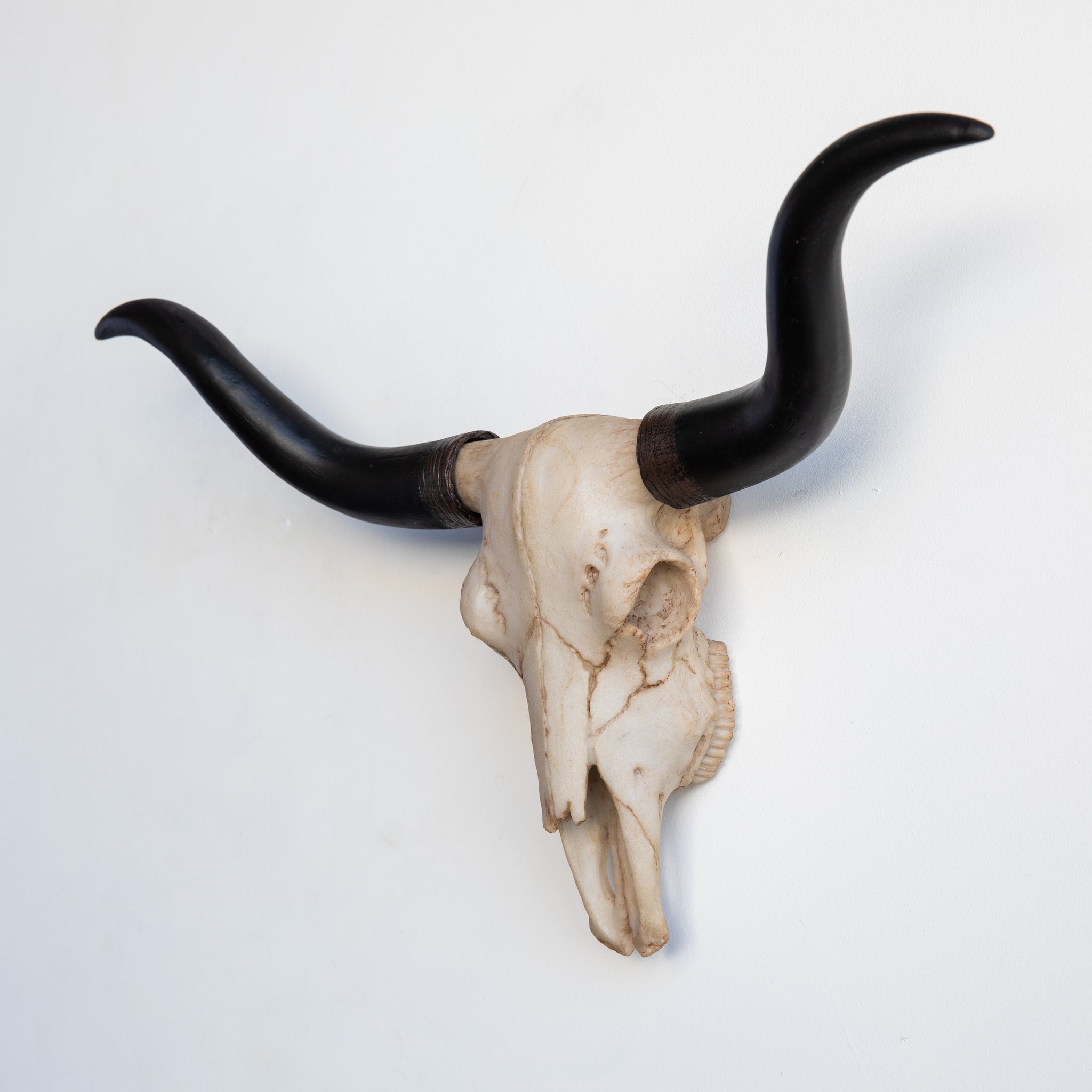 Faux Mini Texas Longhorn Steer Skull Wall Mount // Natural