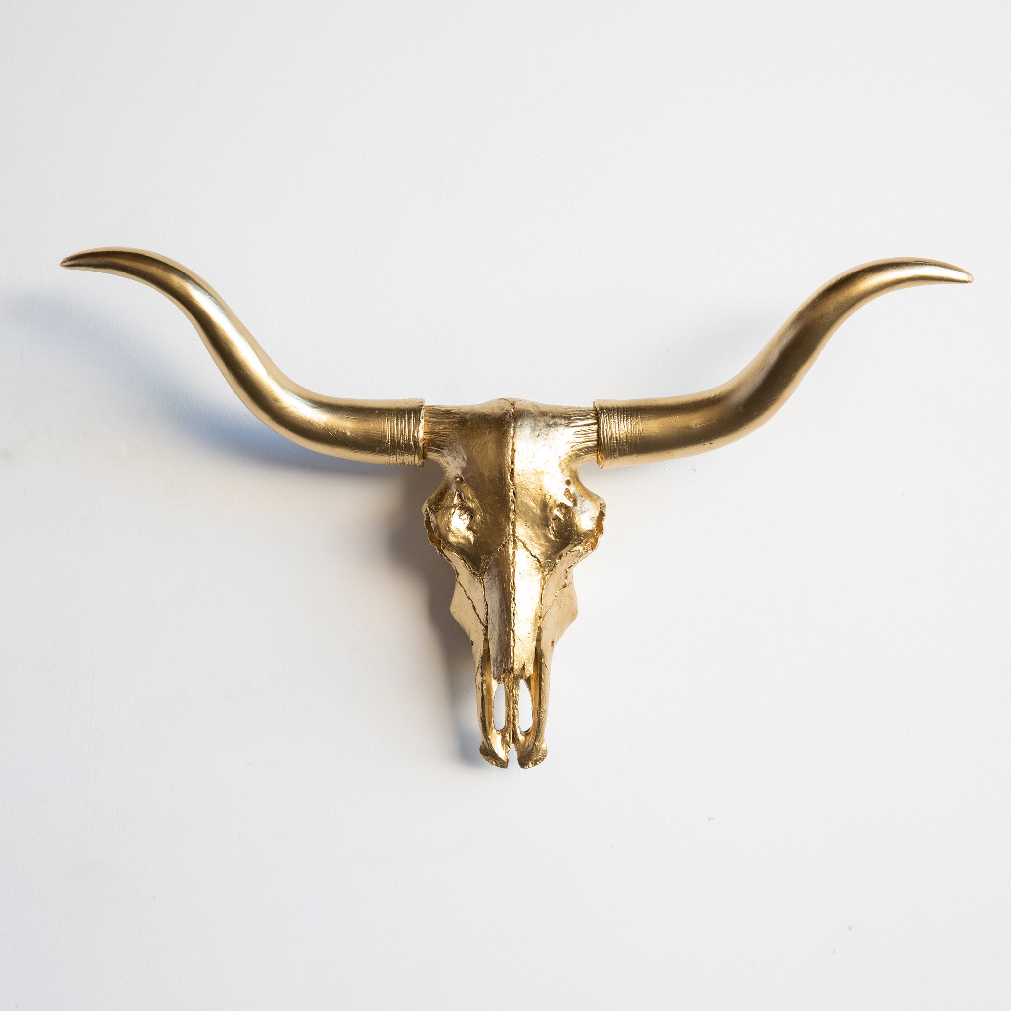 Faux Mini Texas Longhorn Steer Skull Wall Mount // Gold