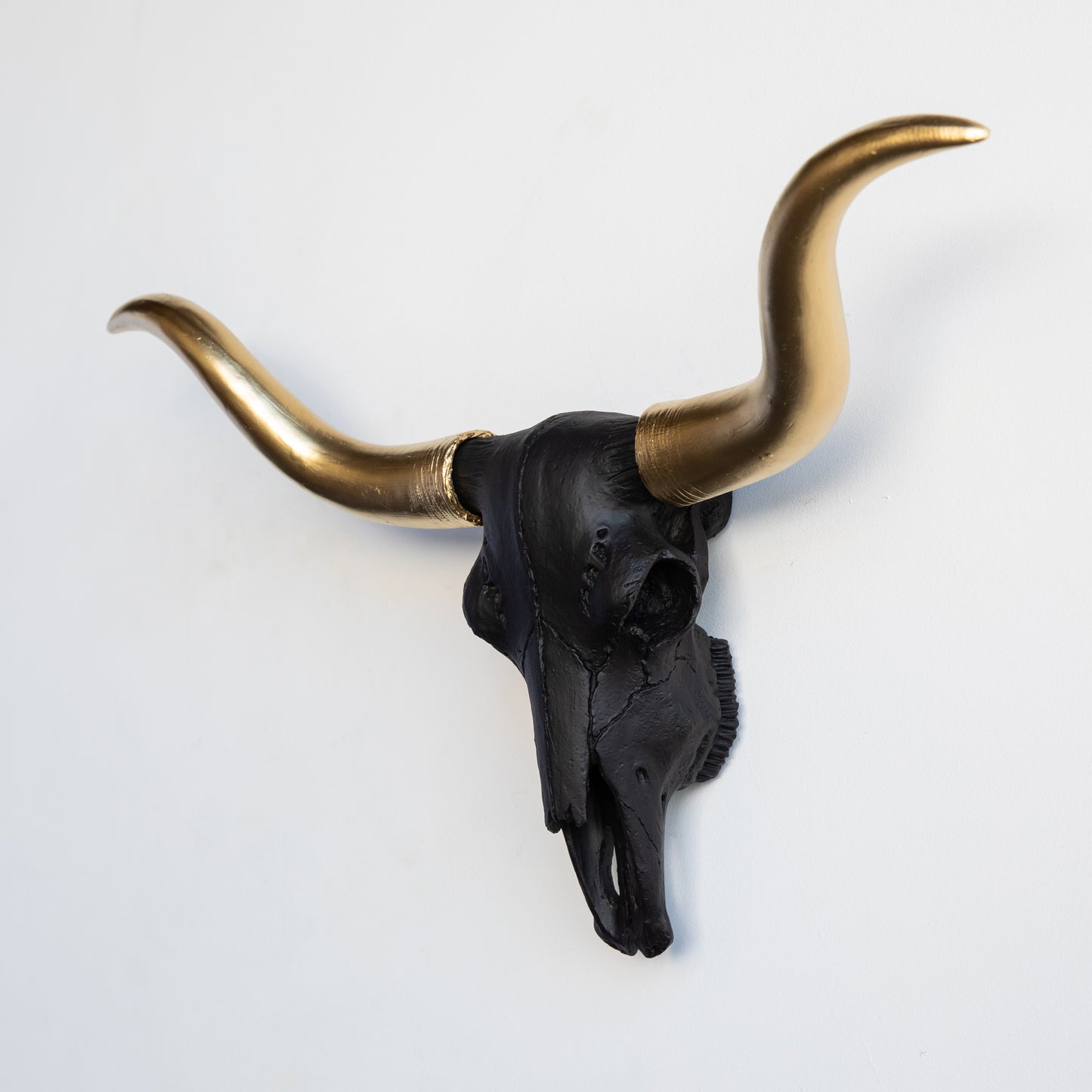 Faux Mini Texas Longhorn Steer Skull Wall Mount // Black and Gold