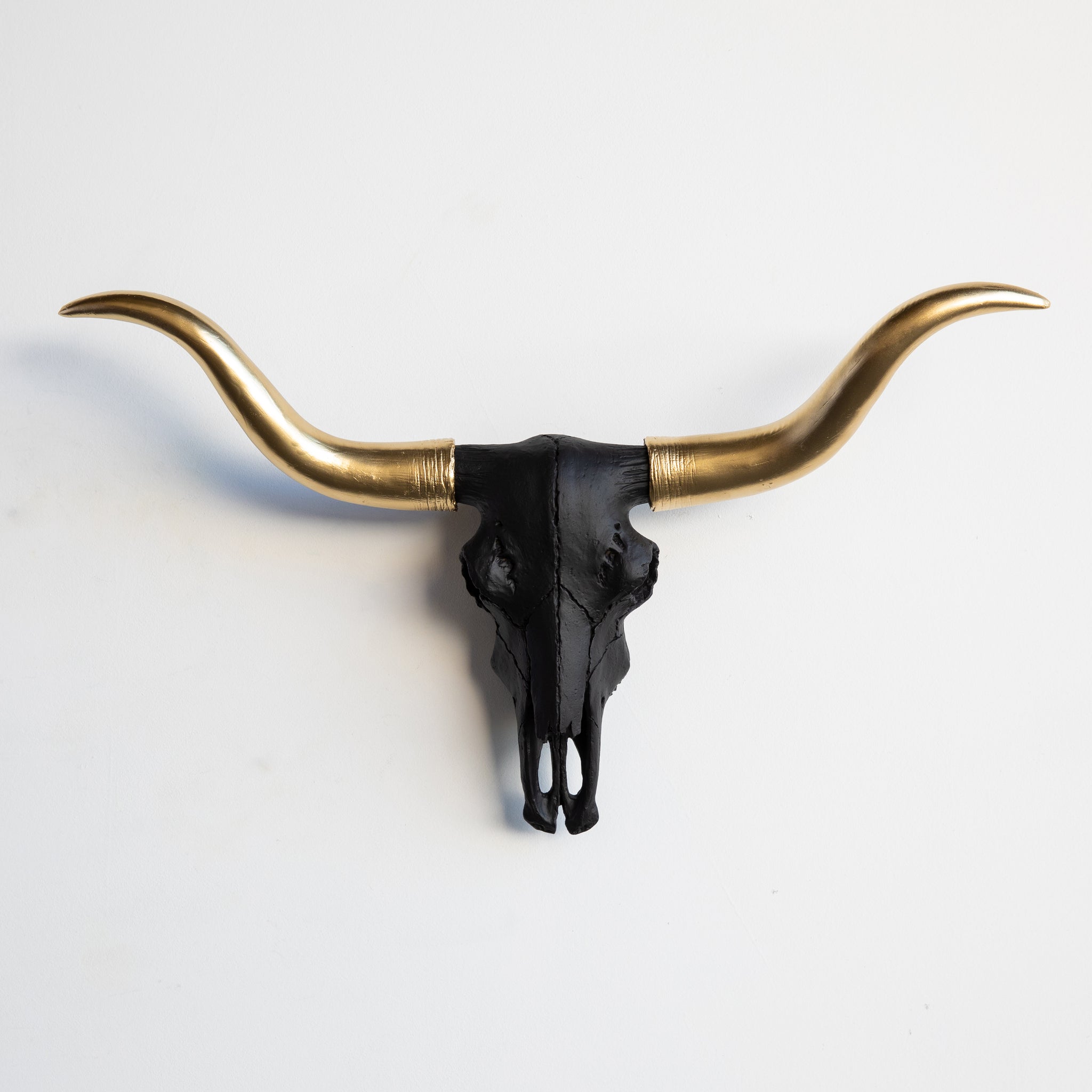Faux Mini Texas Longhorn Steer Skull Wall Mount // Black and Gold