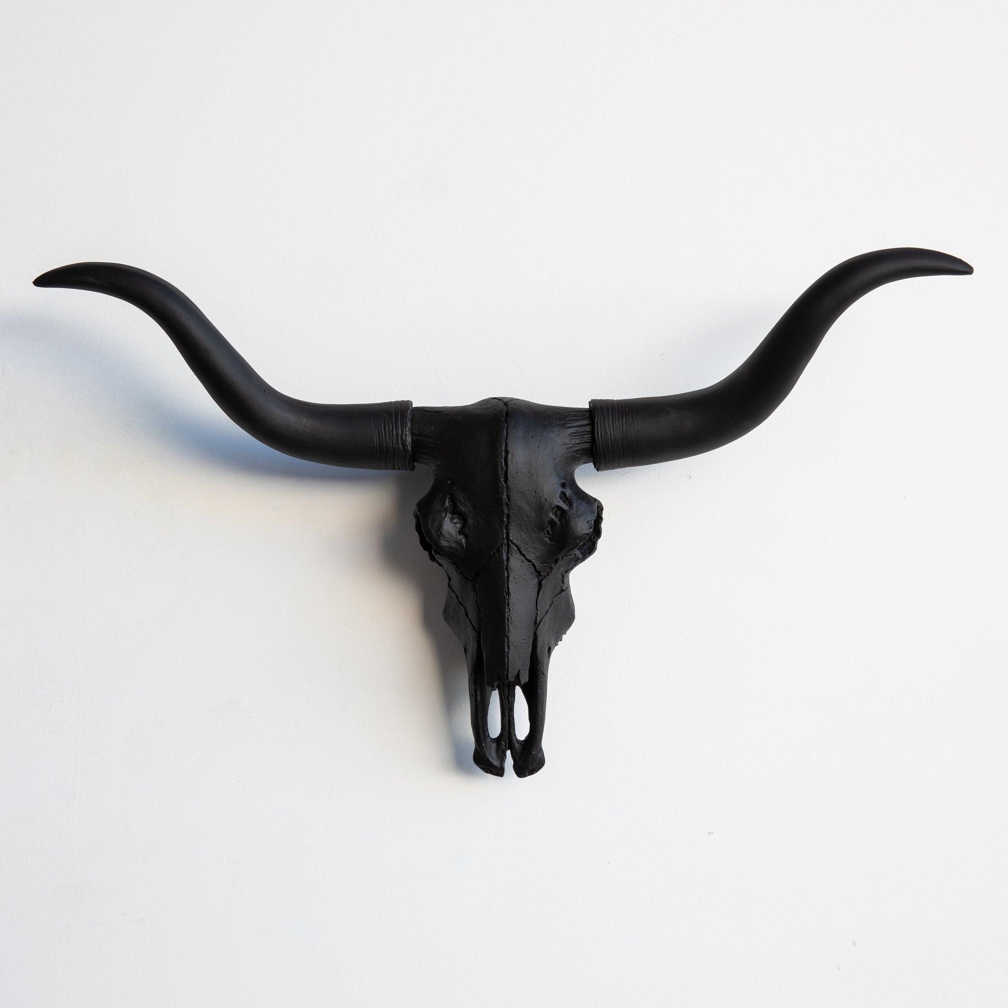 Faux Mini Texas Longhorn Steer Skull Wall Mount // Black