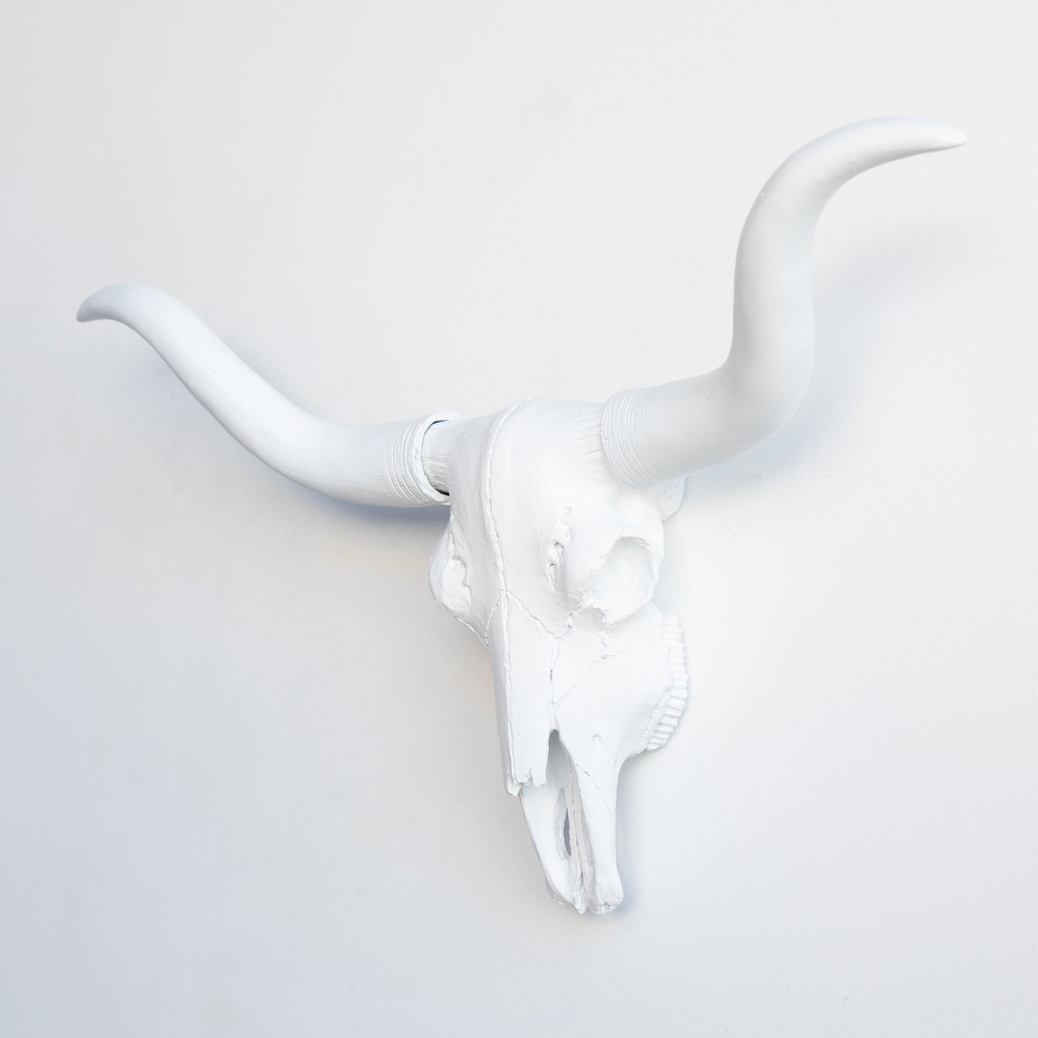 Faux Mini Texas Longhorn Steer Skull Wall Mount // White