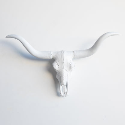 Faux Mini Texas Longhorn Steer Skull Wall Mount // White