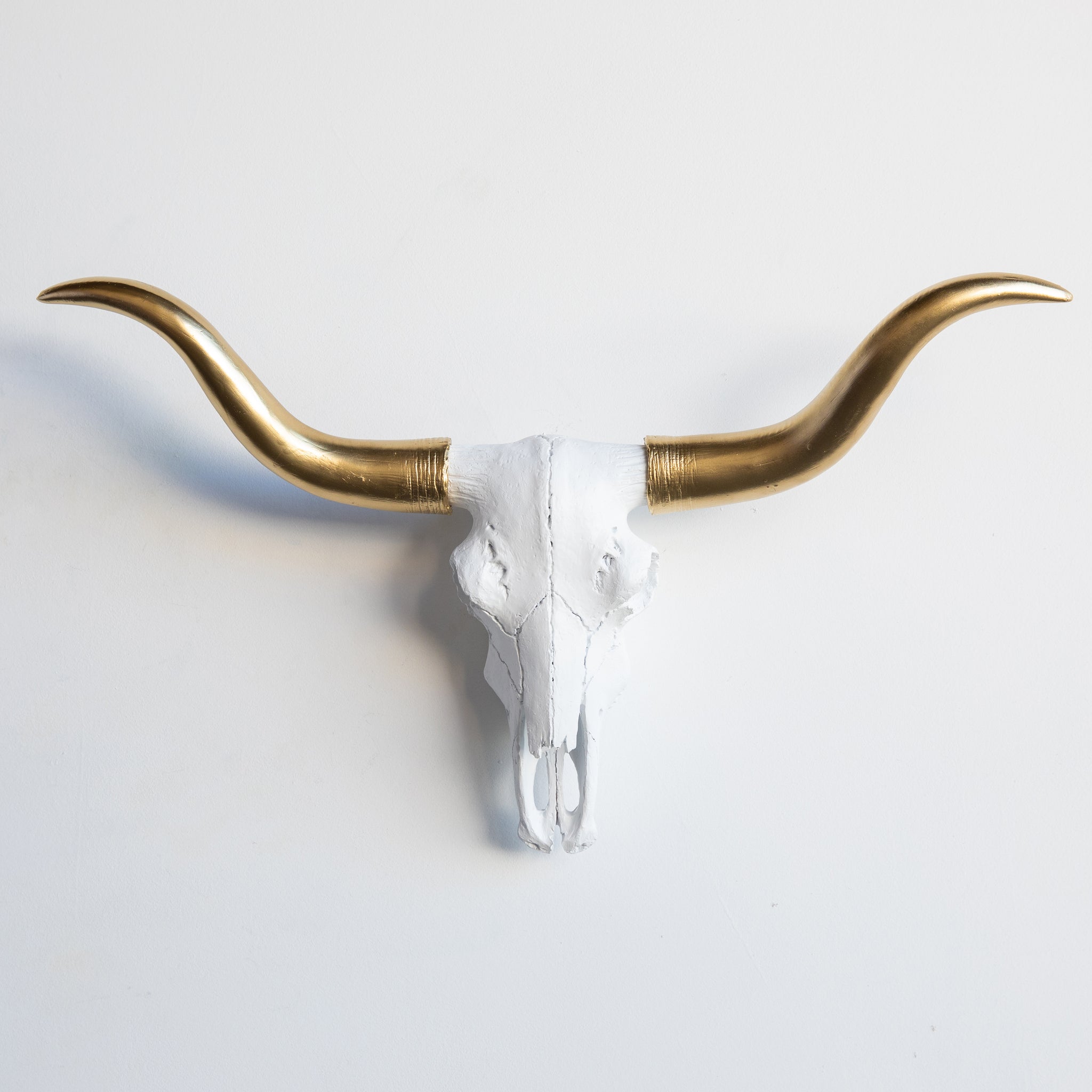 Faux Mini Texas Longhorn Steer Skull Wall Mount // White and Gold