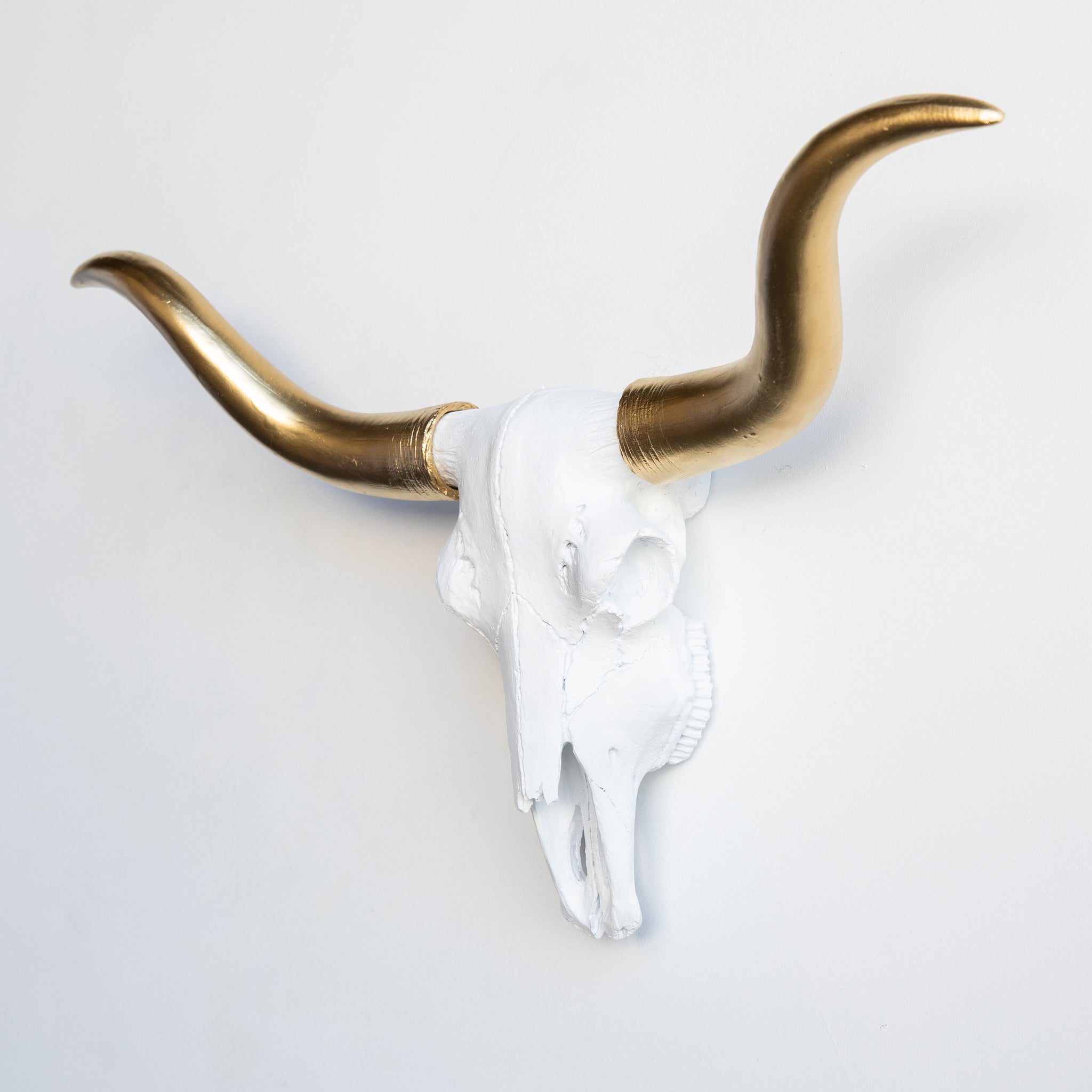 Faux Mini Texas Longhorn Steer Skull Wall Mount // White and Gold