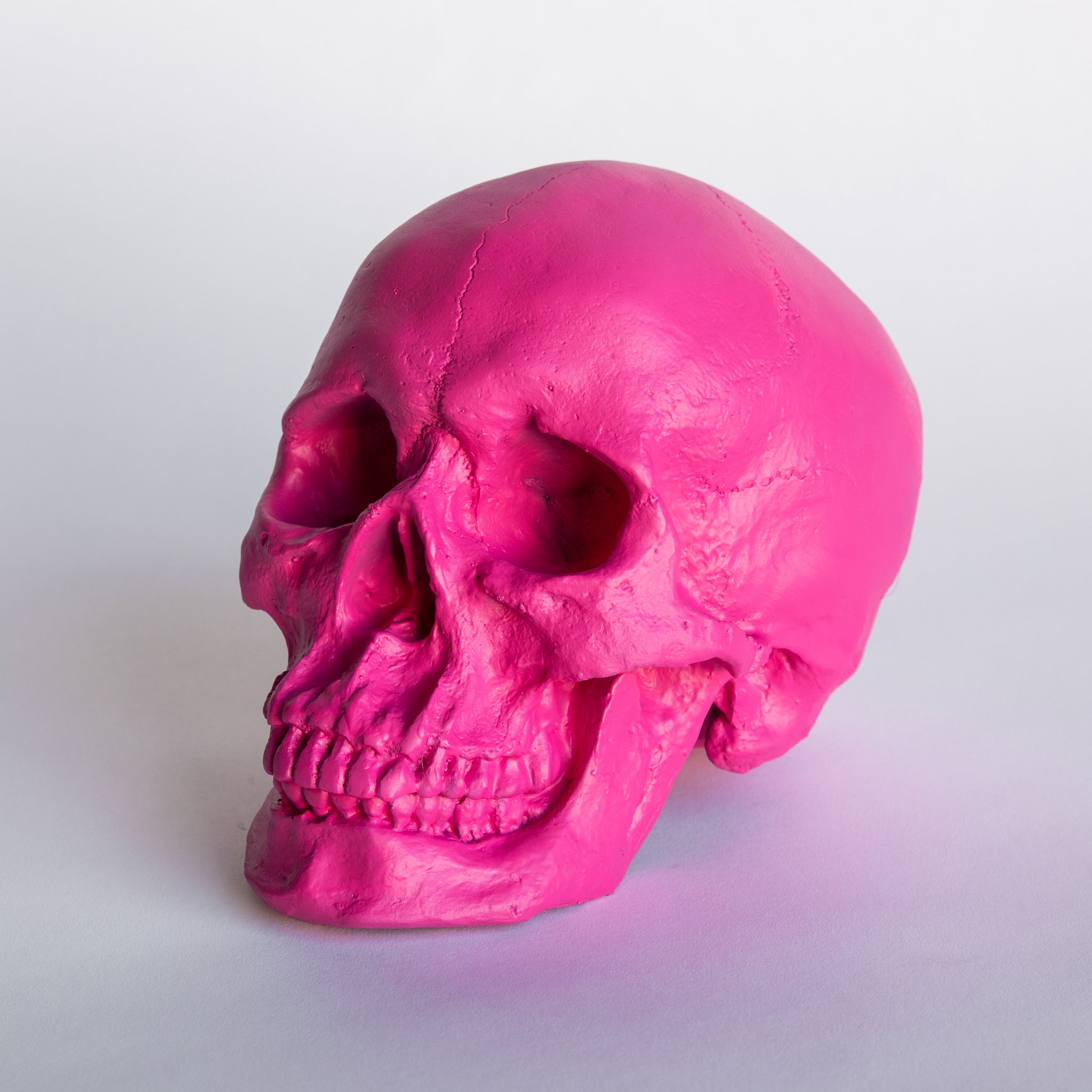 Faux Human Skull Replica // Hot Pink