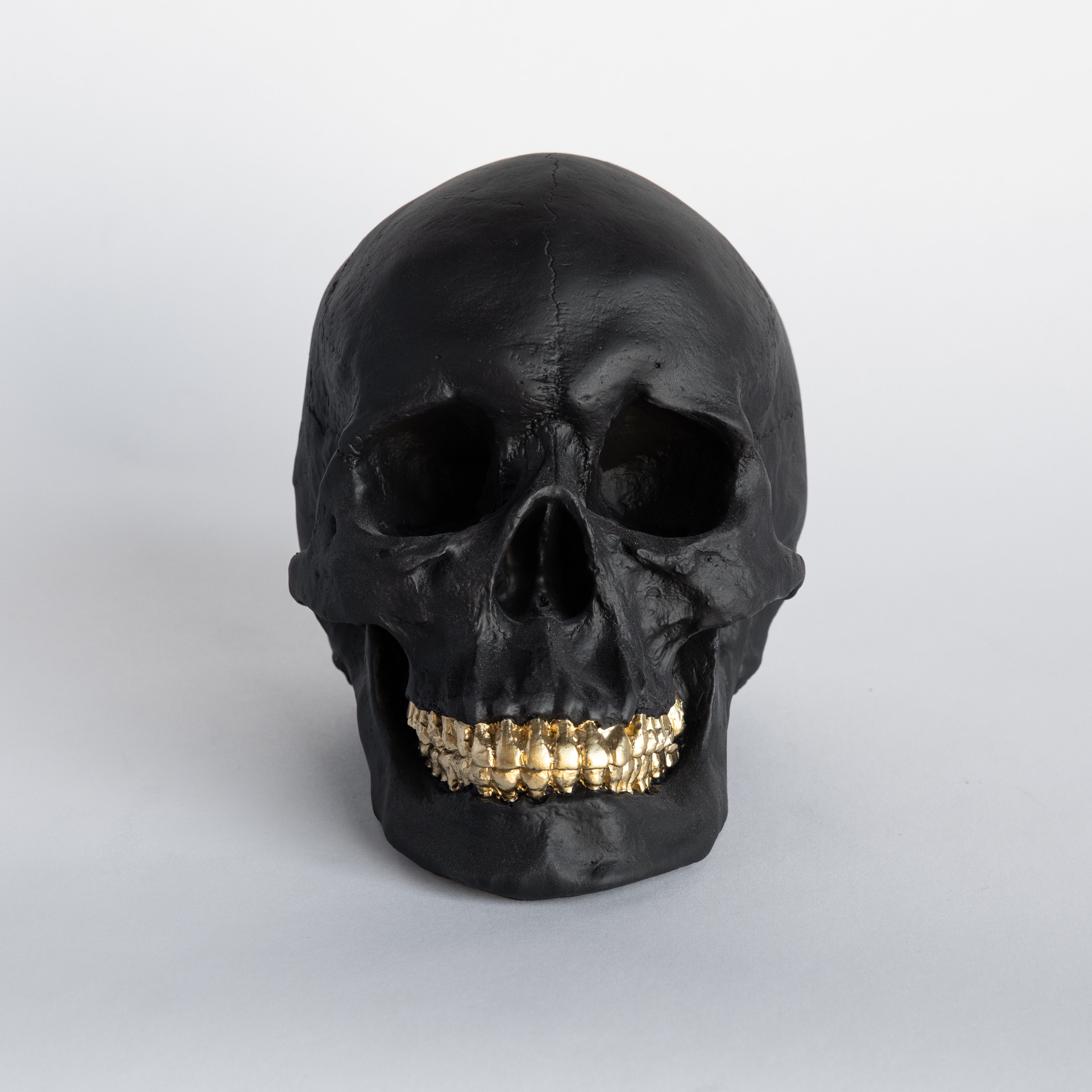 Faux Human Skull Replica // Black with Gold Teeth