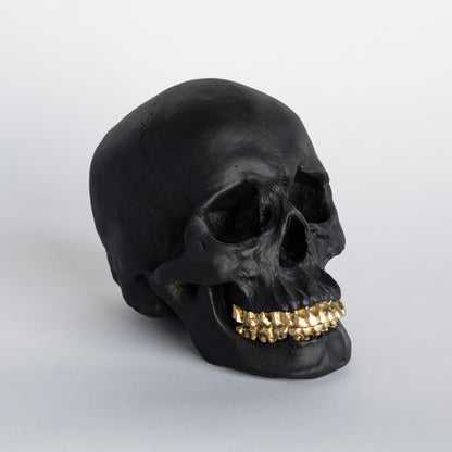 Faux Human Skull Replica // Black with Gold Teeth