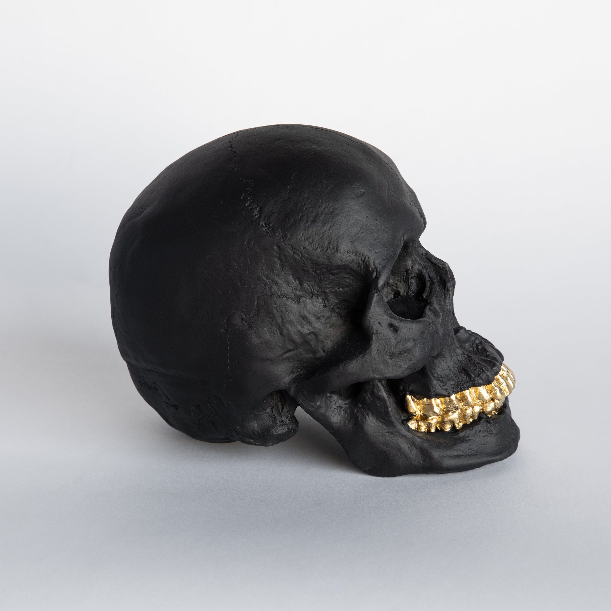 Faux Human Skull Replica // Black with Gold Teeth