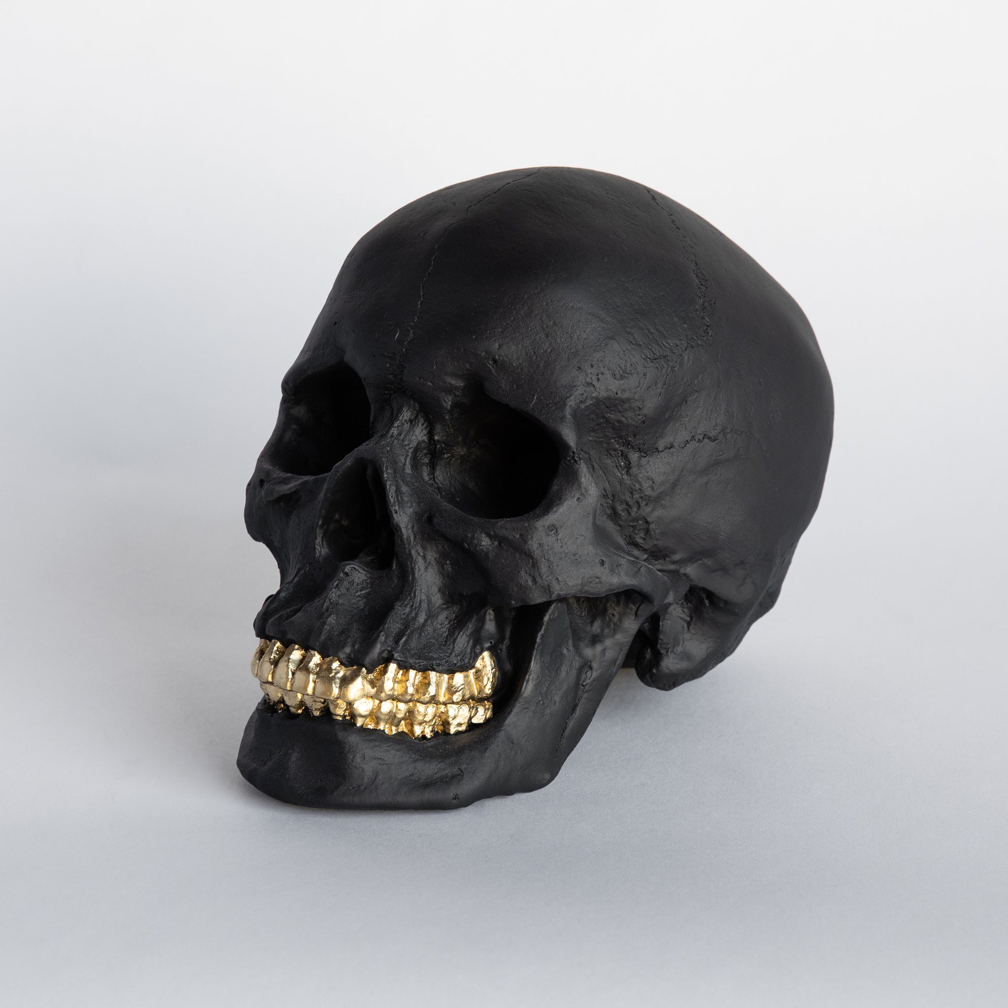 Faux Human Skull Replica // Black with Gold Teeth