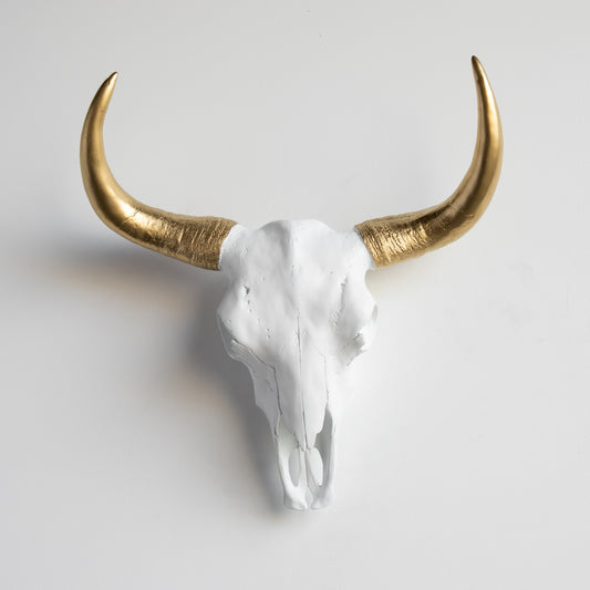 XL Faux Bison Skull // White and Gold