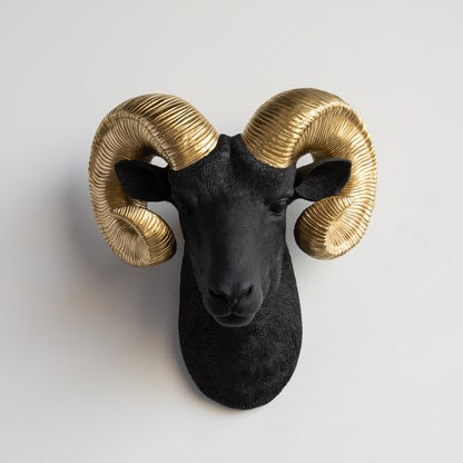 Faux Ram Wall Mount // Black with Gold Horns